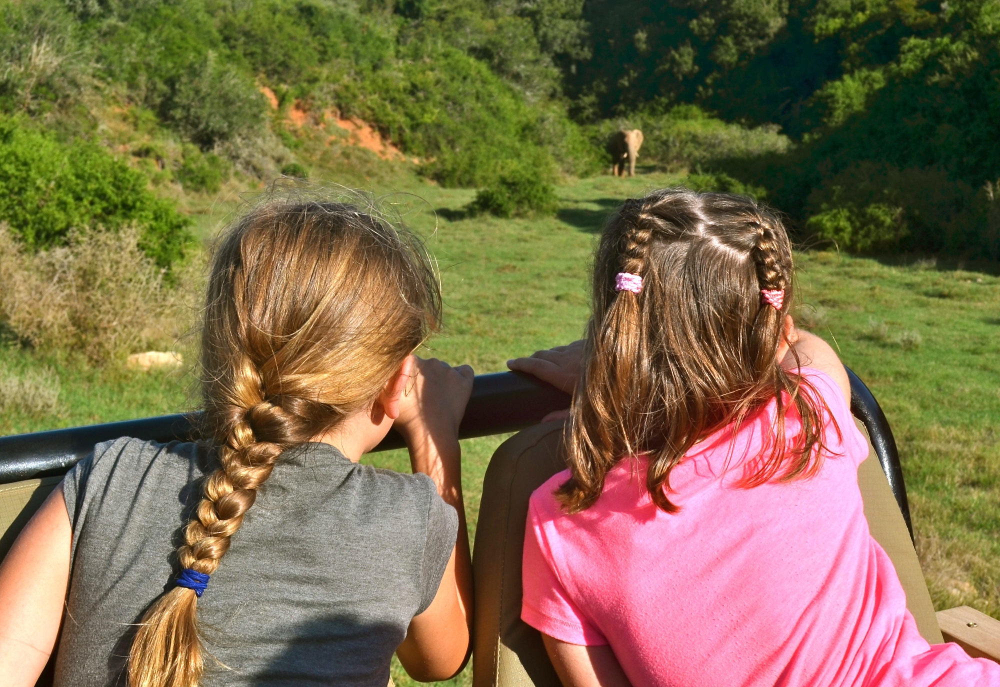 3-Amakhala-Leeuwenbosch-Country-House-children-on-game-drive Two young girls with braided hair sit on the back of a safari vehicle, gazing at an elephant in the distance amidst lush green vegetation.
