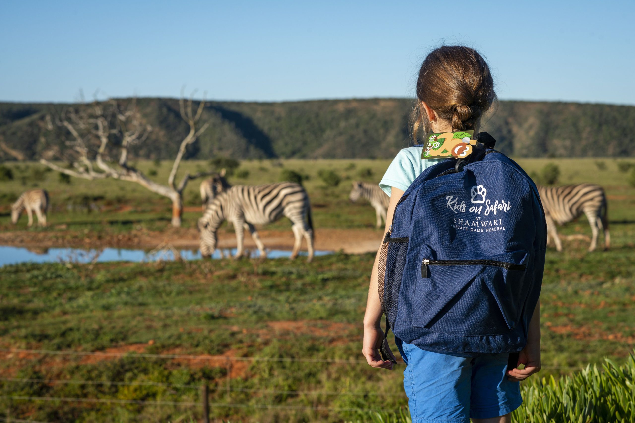 Shamwari_kids_on_safari_483 A young girl wearing a “Kids on Safari” backpack gazes at a small herd of zebras drinking at a waterhole, set against a backdrop of green plains and rolling hills.