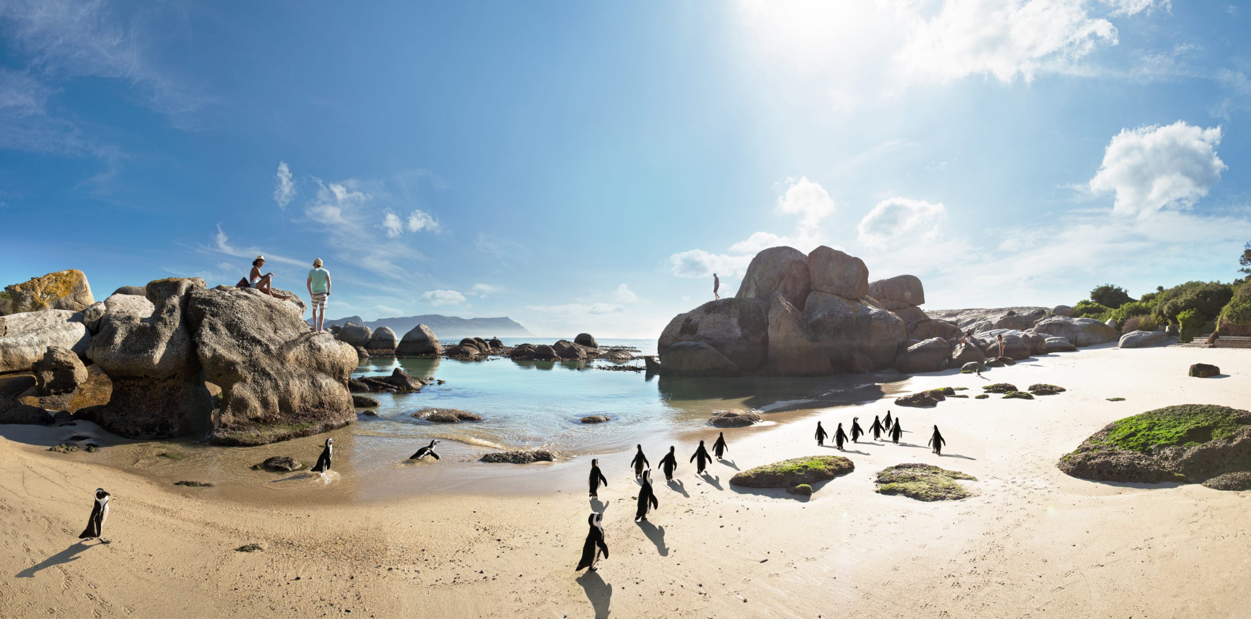 boulders-beach-cape-town-african-penguins A sandy beach dotted with boulders, where African penguins waddle past sunbathers under a bright blue sky - unique places to travel