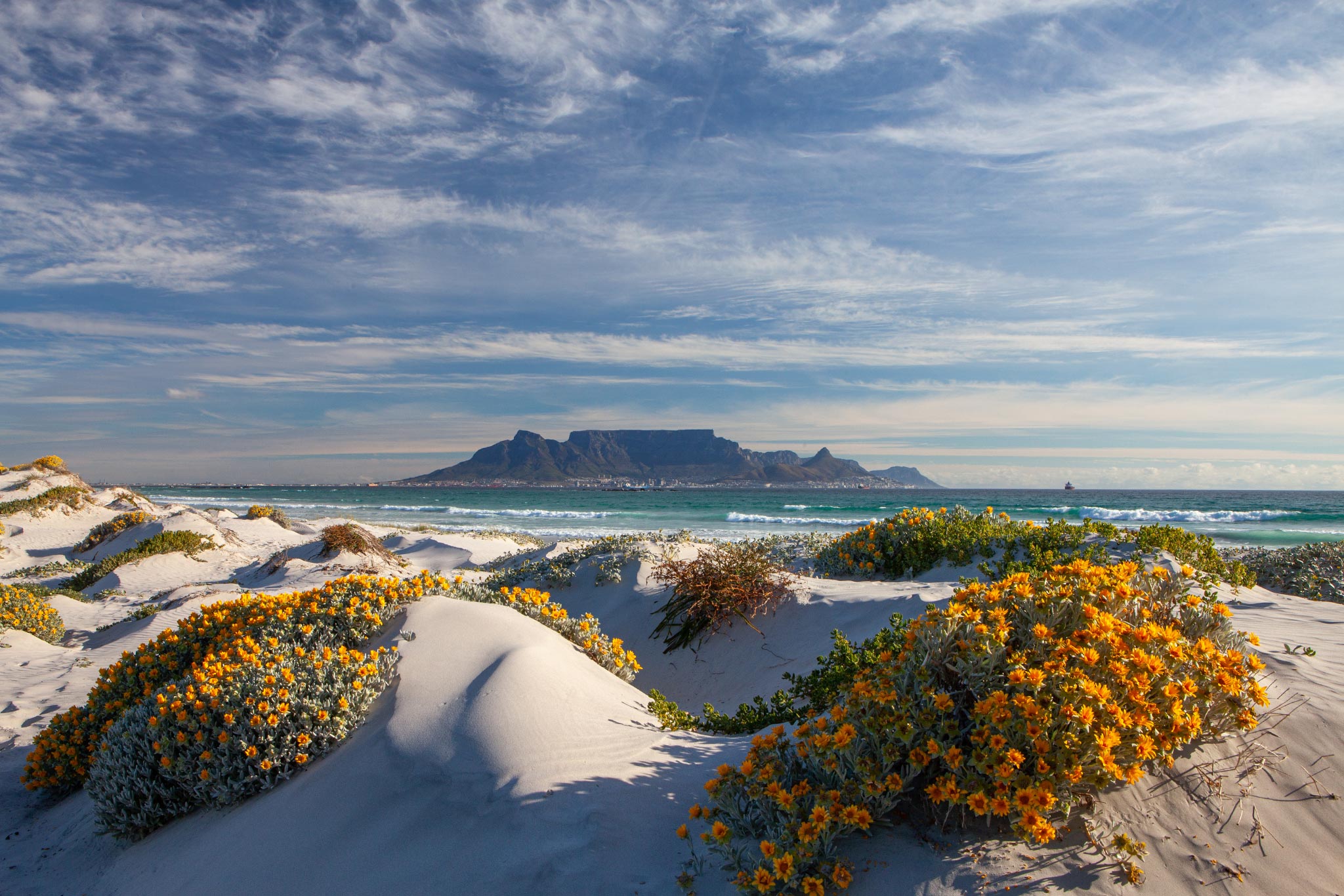 scenic-view-of-table-mountain-in-cape-town-south-africa-from-blouberg-strand-with-spring-flowers-AdobeStock_387532450 Panoramic view of Table Mountain from Bloubergstrand