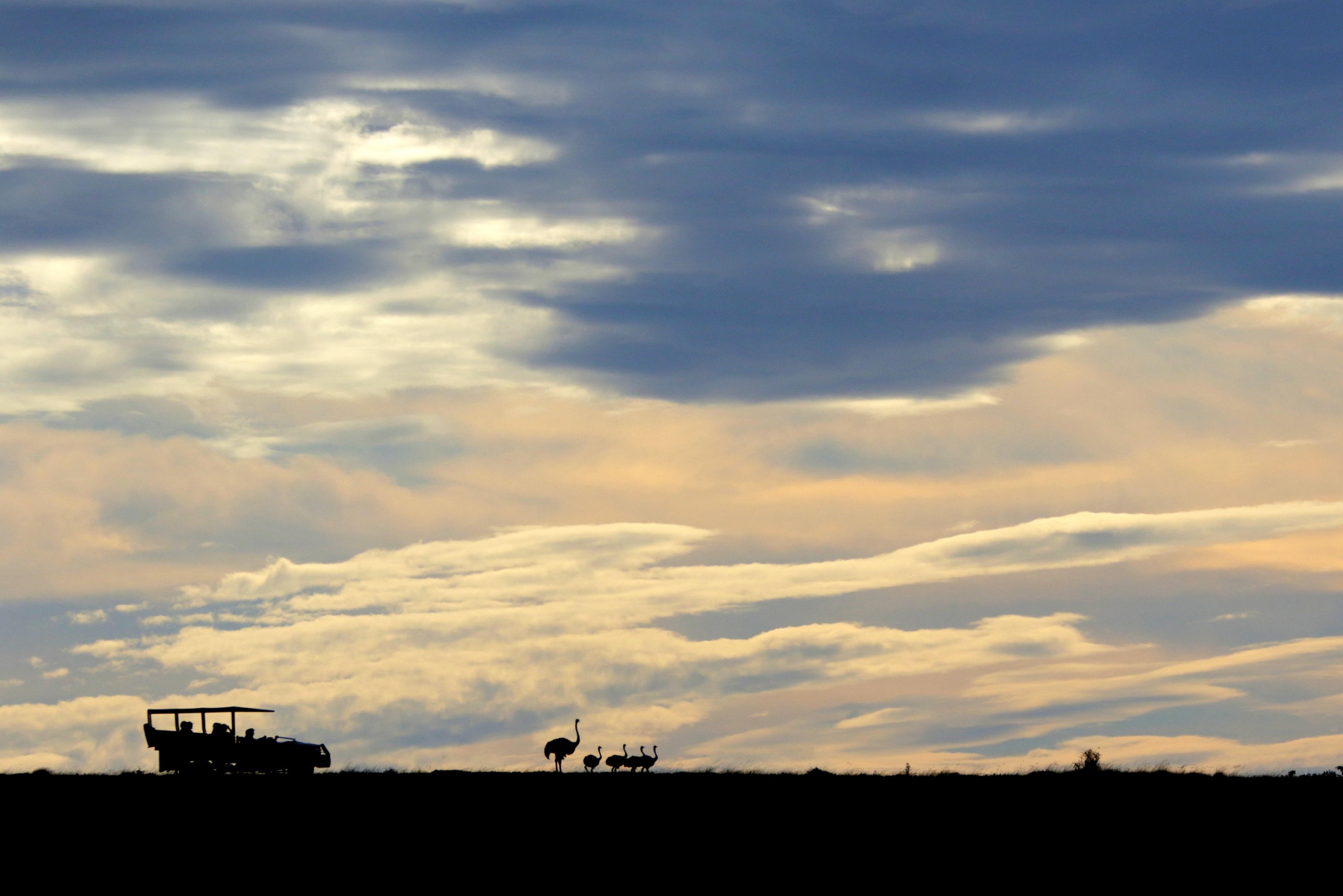 Bukela-Game-Lodge-ostrich A safari vehicle is silhouetted against a dramatic sky at dusk as an ostrich and her chicks walk along the horizon during a babymoon safari.