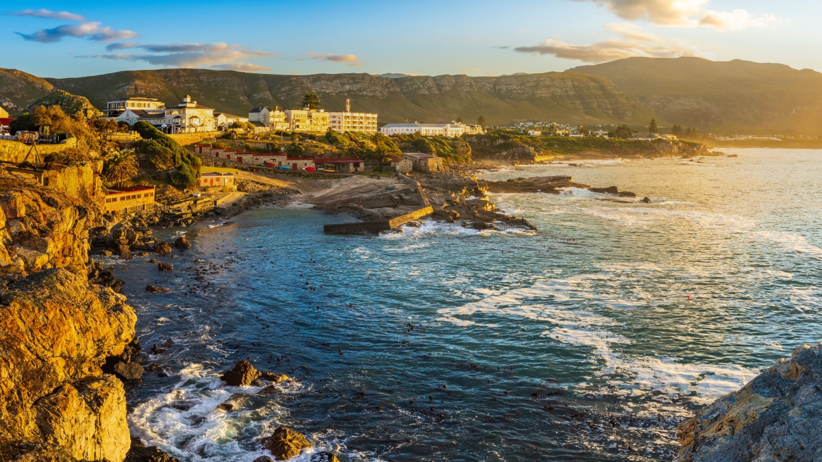 Hermanus-coastline-from-Gearings-Point A coastal view of Hermanus at sunset, where cliffside restaurants offer front-row seats for whale watching in Hermanus