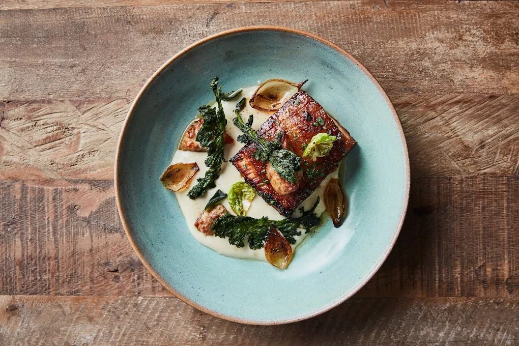 CBC bacon chop Plated bacon chop with creamy sauce