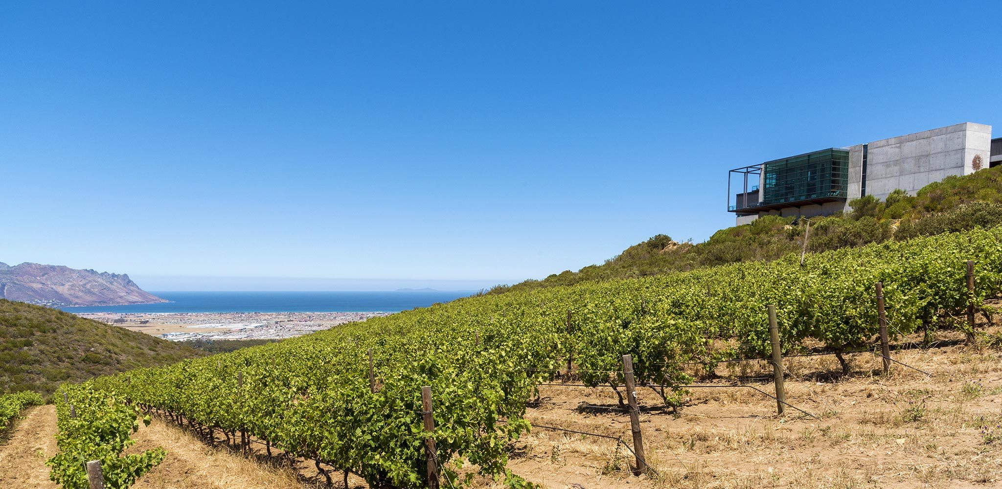 The Waterkloof Wine Estate in Somerset West